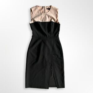 BCBG, Sleeveless, Color Block  'Tinna' Sheath Dress, sz 6 Chic, Glean, Minimal